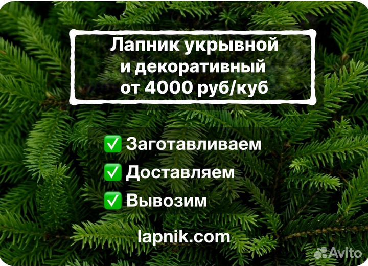 Лапник укрывной