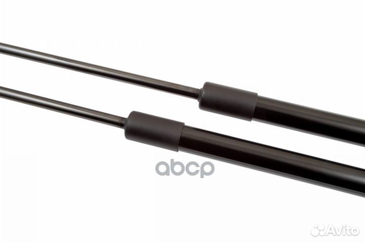 Деталь arborihd041103 Arbori