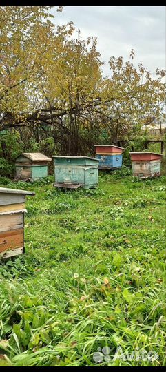 Ульи для пчёл