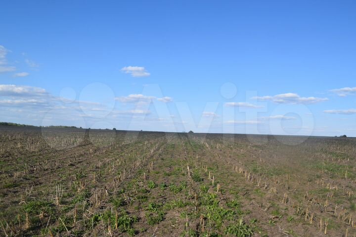 Участок 9,4 га (СНТ, ДНП)