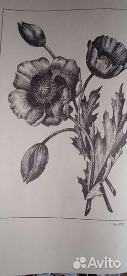 Книга вышивка на швейной машинки