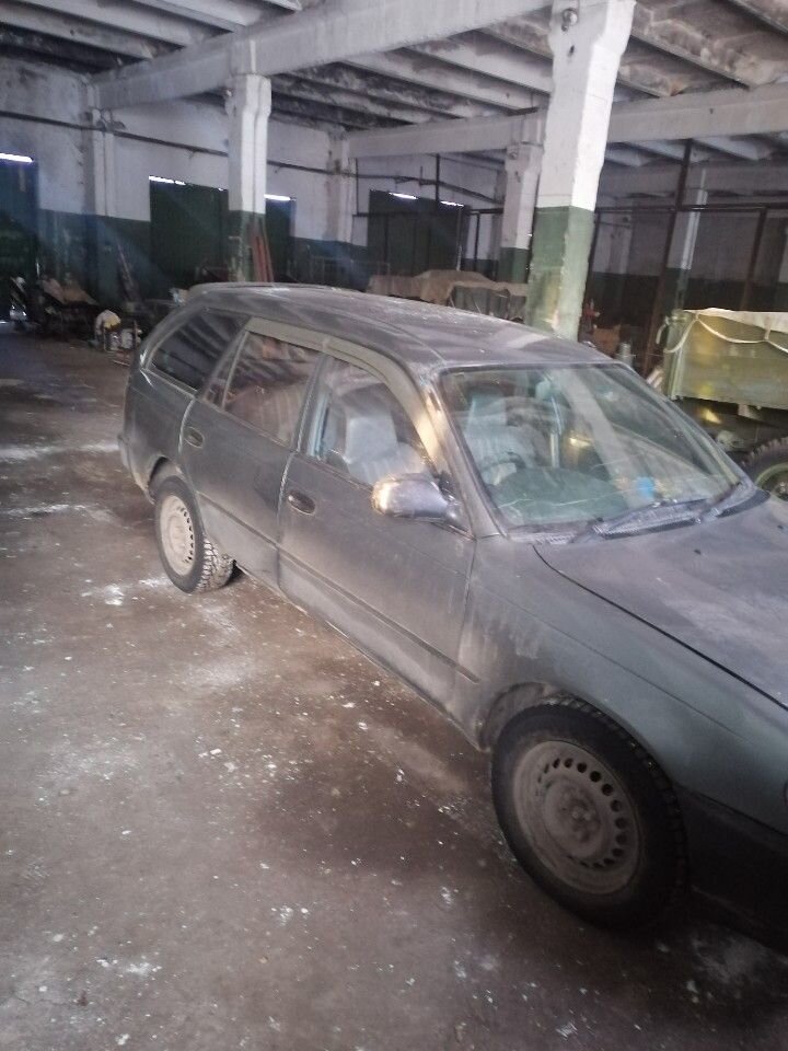 Toyota Corolla: фото владельца