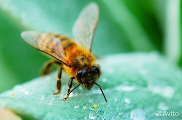 Nikon D70s комплект без объектива + мелочёвка