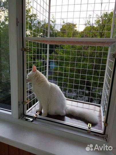 Кошачий балкончик, балкон для кошек, антикошка