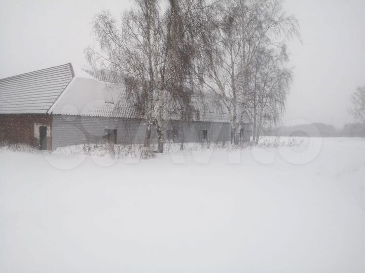 Здание, 3500 м²