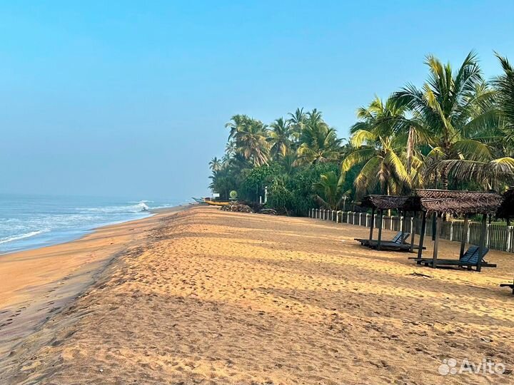 Горящие туры на Шри-Ланку