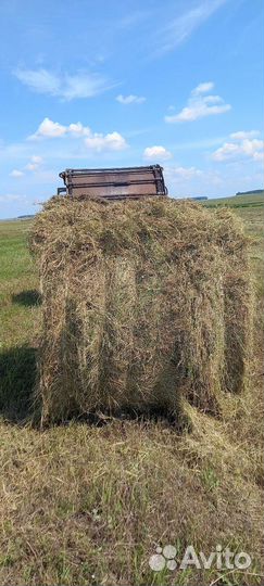 Сено в тюках и рулонах