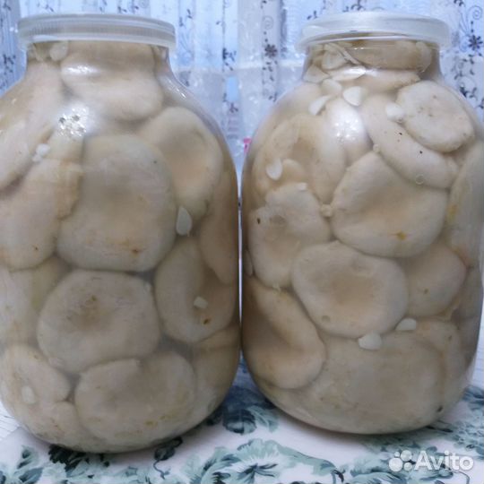 Грибы грузди соленые