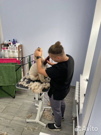 Груминг собак и кошек