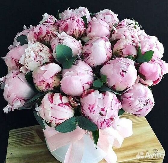 Пионы Букет пионов