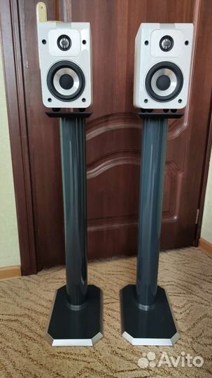 Акустическая система Bluesound Duo D20