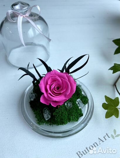 Роза в колбе