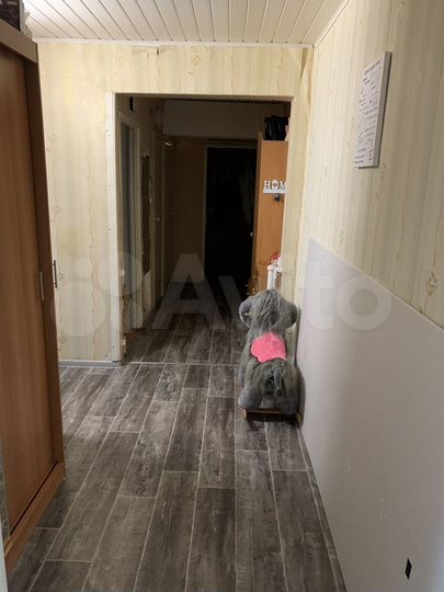 2-к. квартира, 53,1 м², 5/5 эт.