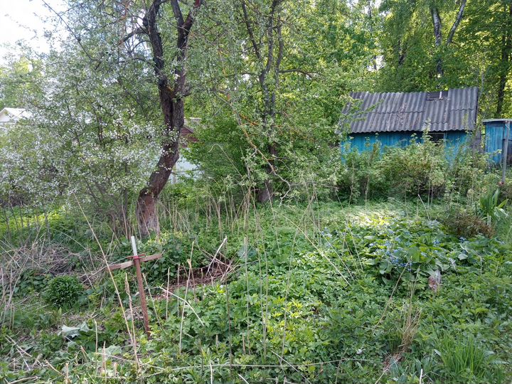 Дом 62 м² на участке 5 сот.