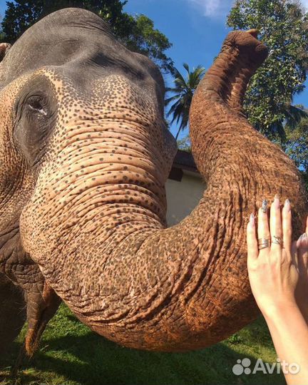 Выравнивание ногтевой пластины