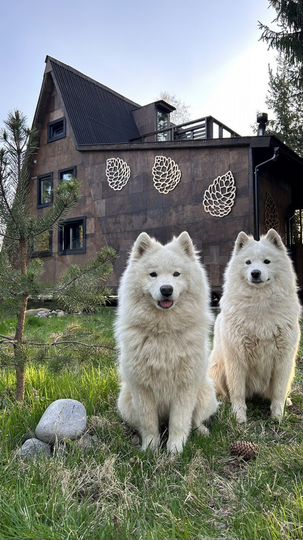 Дом 130 м² на участке 25 сот.