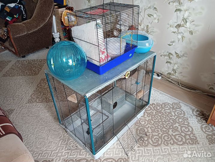 Набор для шиншилл - 2 клетки, ванночки, шар и тд
