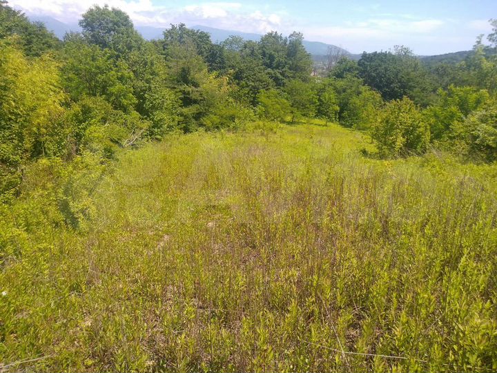 Участок 1,15 га (ИЖС)