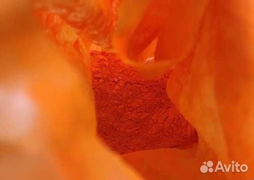 Сурик свинцовый