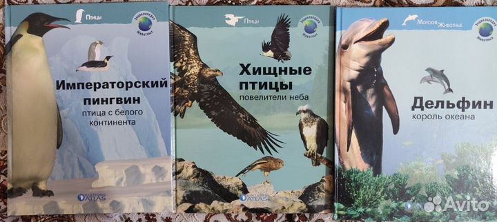 Энциклопедия животных