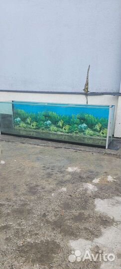 Аквариум