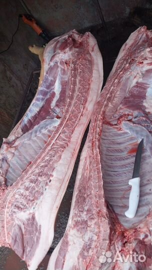 Мясо свинина домашняя