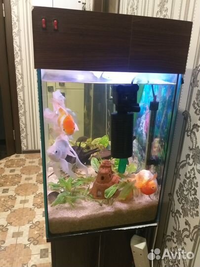 Аквариум с тумбой 150 литров.бу