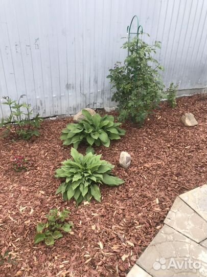 Кора мульча