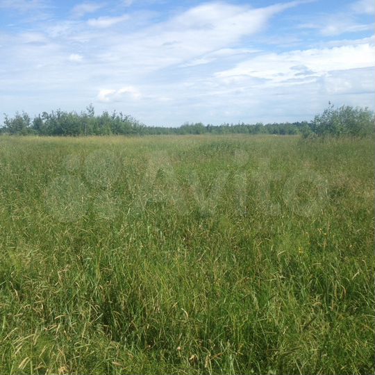 Участок 4,2 га (СНТ, ДНП)