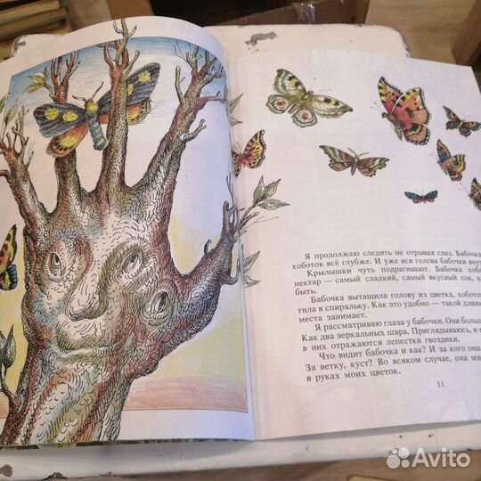 Варшамов гости на цветке 1988г