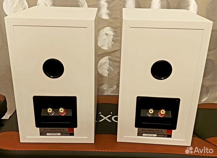 Колонки Dali Spector 2