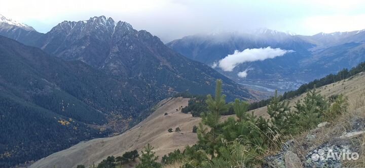 Поход выходного дня в Подмосковье