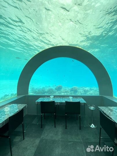 Горящие туры на мальдивы