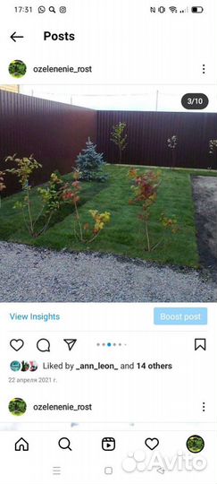 Рулонный/Посевной Донской газон