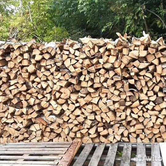 Дрова березовые. Качественные
