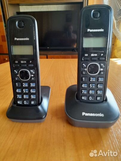 Panasonic