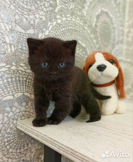 Плюшевая девочка