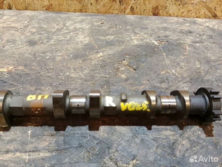 Распредвал впускной Nissan Teana J32 2008-2013