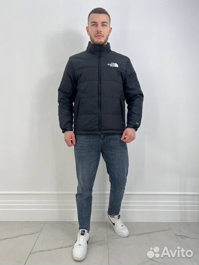 Куртка мужская The north face 700