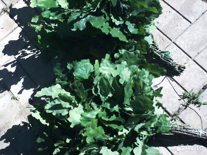 Веники для сауны И бани