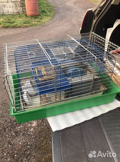 Клетки для грызунов и куча сопутствующего