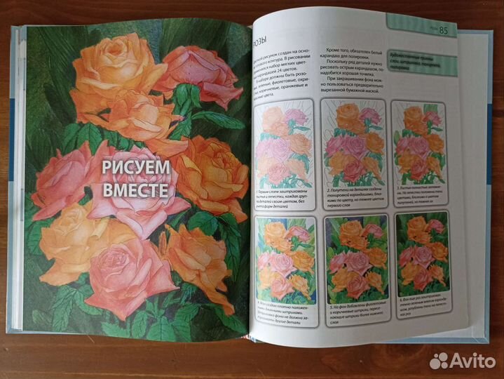 Самоучитель по рисованию цветными карандашами