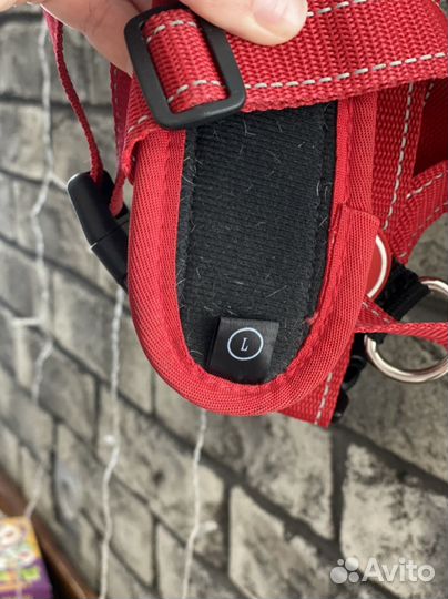 Шлейка для собак ezydog L