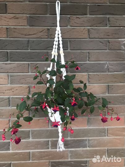 Кашпо для цветов макраме