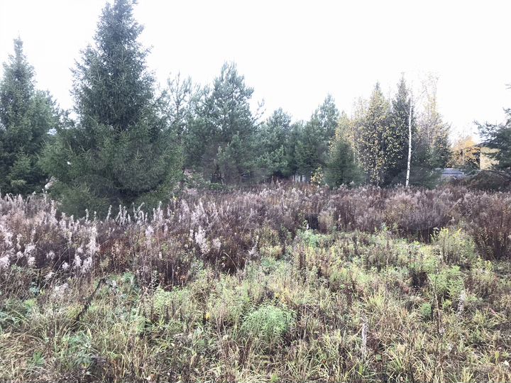 Участок 10 сот. (ИЖС)