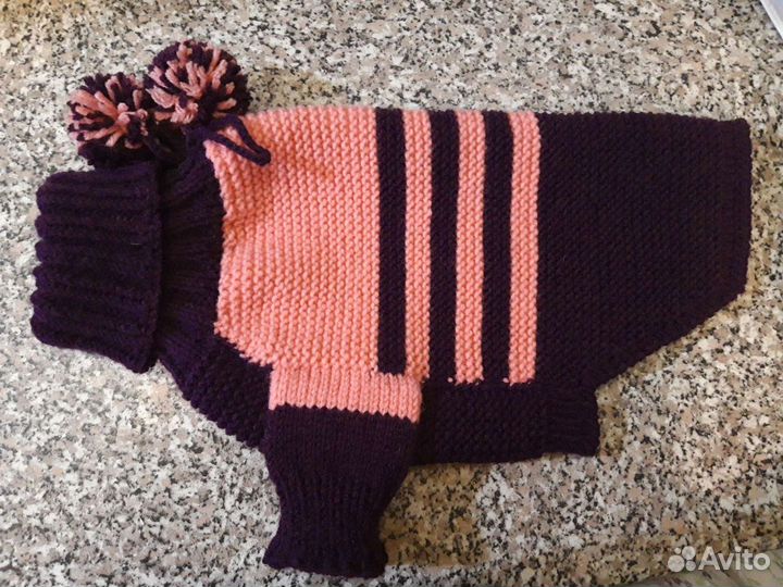 Одежда для собак