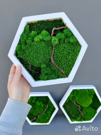 Панно-соты из стабилизированного мха