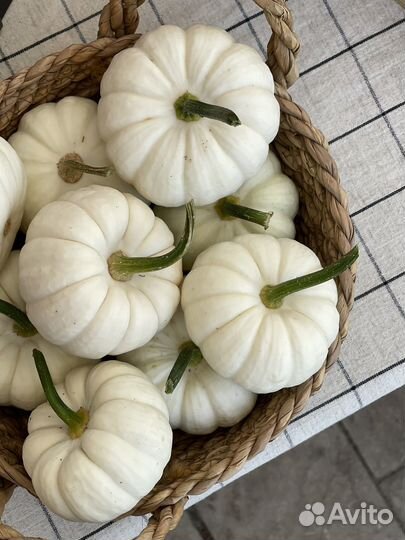 Тыква mini декоративная белая, оранжевая