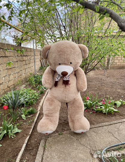 Плюшевый медведь 180см