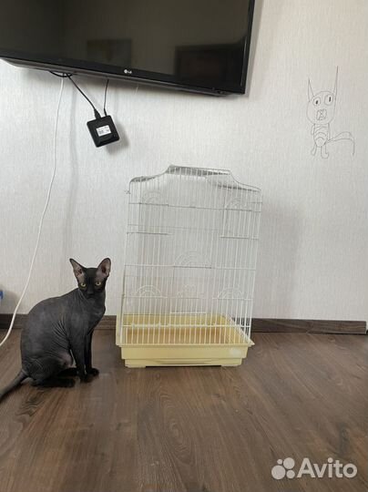 Клетка для попугая большая